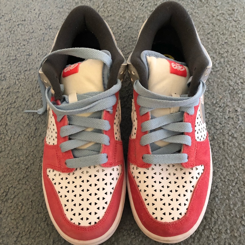 Brand new never worn Nike 6.0 dunks